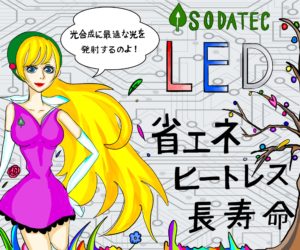 LED