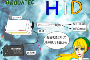 hid