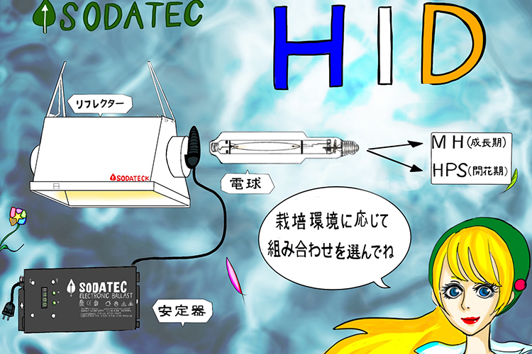 HID